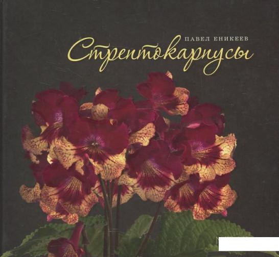

Стрептокарпусы (446858)