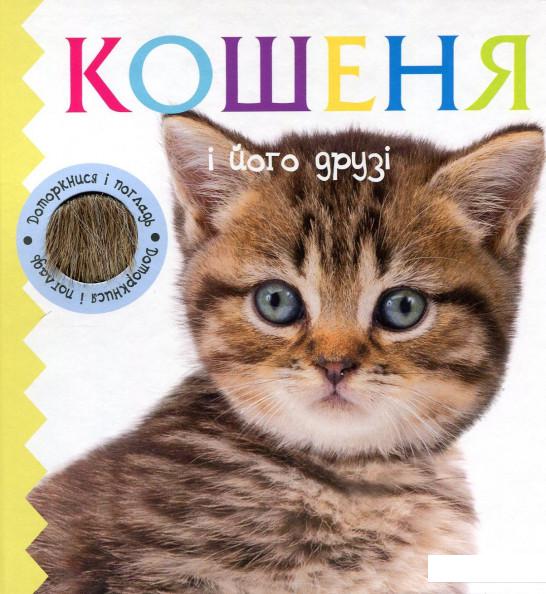 

Кошеня і його друзі (906972)