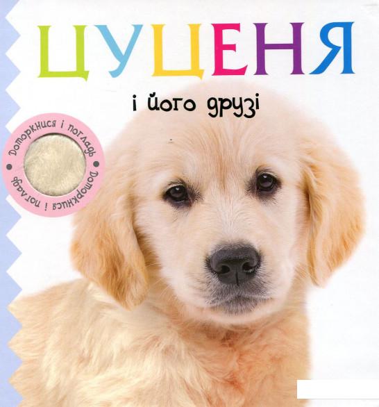 

Цуценя і його друзі (906974)