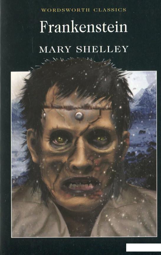

Frankenstein or The Modern Prometheus (445398)