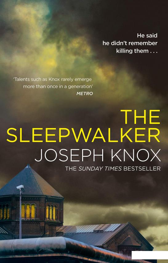 

The Sleepwalker (955323)