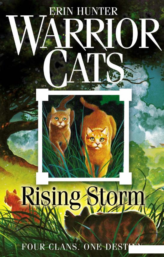 

Warrior Cats. Book 4. Rising Storm (982371)