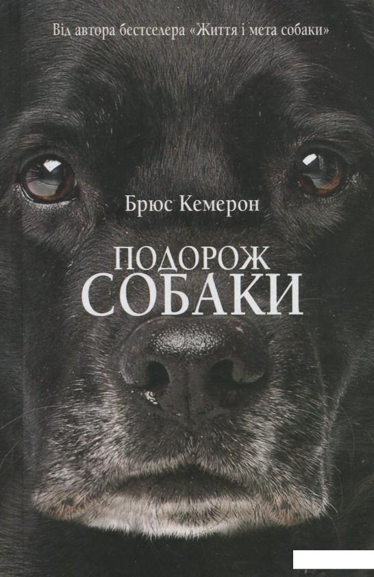 

Подорож собаки (914314)