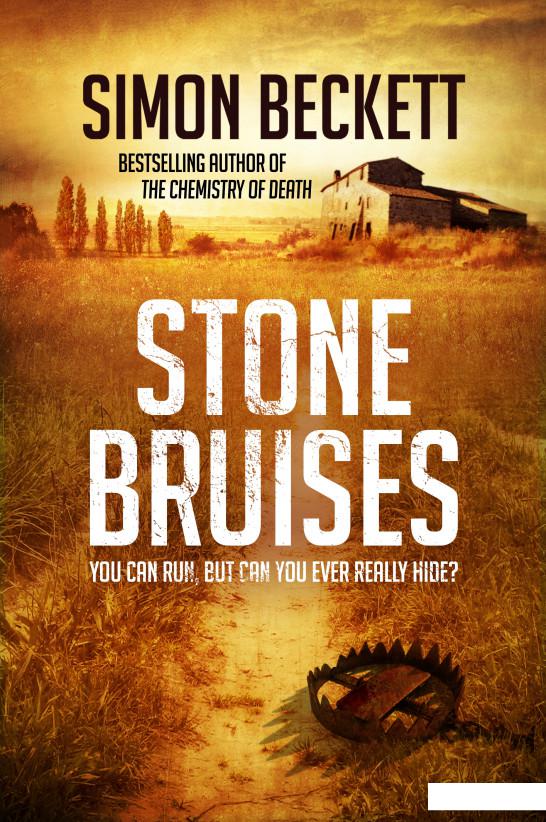 

Stone Bruises (935467)