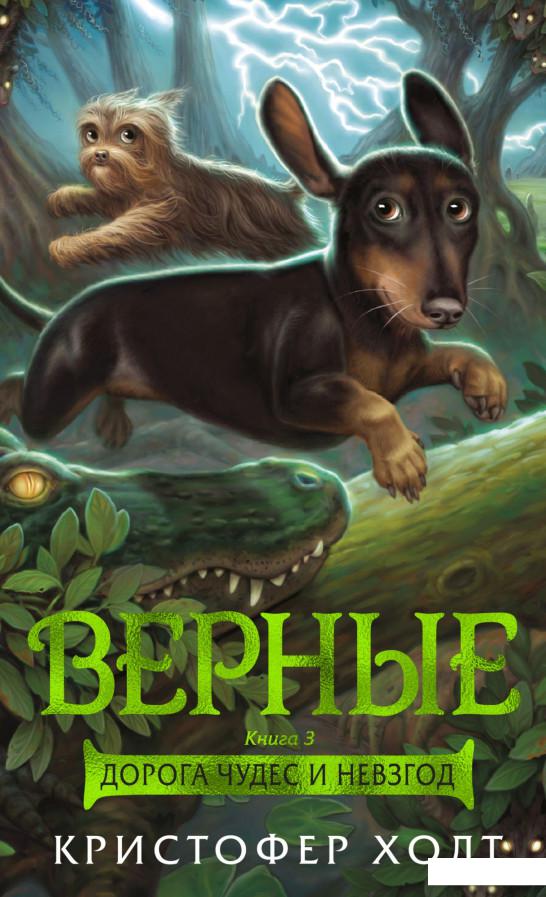 

Верные. Книга 3. Дорога чудес и невзгод (939374)