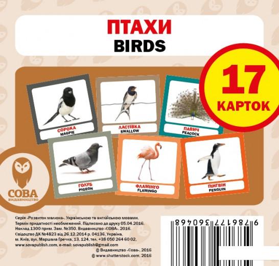 

Вивчай англійську №7 (комплект із 5 книг) (983235)