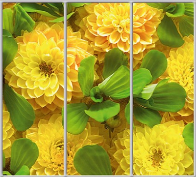 

Шкаф купе Luxe Studio Стандарт-1 Фотопечать Природа-66 2200x2300x450 трехдверный