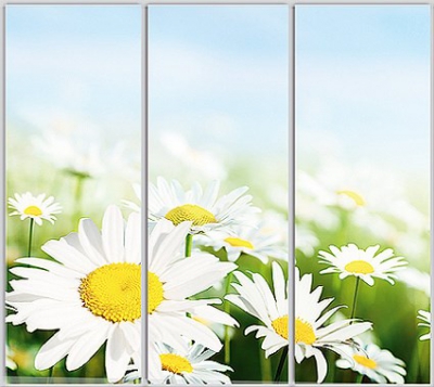 

Шкаф купе Luxe Studio Стандарт-1 Фотопечать Природа-225 2200x2100x450 трехдверный