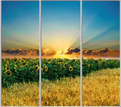 

Шкаф купе Luxe Studio Стандарт-1 Фотопечать Природа-53 2200x2100x450 трехдверный