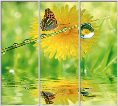 

Шкаф купе Luxe Studio Стандарт-1 Фотопечать Природа-214 2200x2100x450 трехдверный