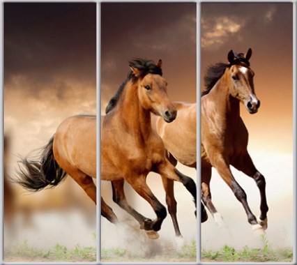 

Шкаф купе Luxe Studio Стандарт-1 Фотопечать Животные-4 2100x2400x450 трехдверный