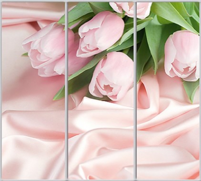 

Шкаф купе Luxe Studio Стандарт-1 Фотопечать Природа-148 2200x2200x450 трехдверный