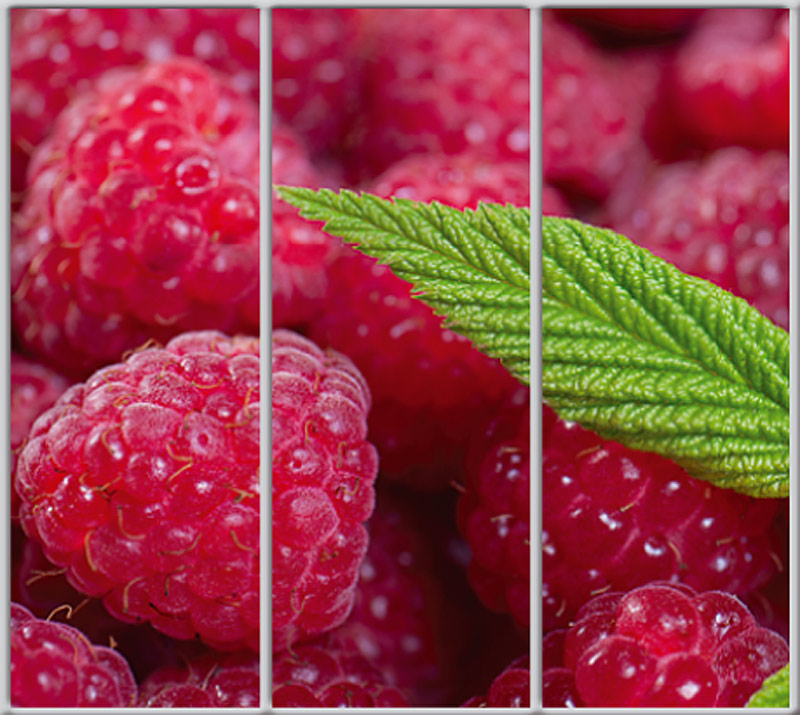 

Шкаф купе Luxe Studio Стандарт-1 Фотопечать Природа-149 2100x2300x450 трехдверный