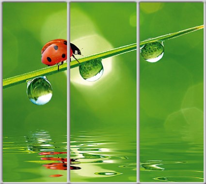 

Шкаф купе Luxe Studio Стандарт-1 Фотопечать Животные-32 2100x2300x450 трехдверный