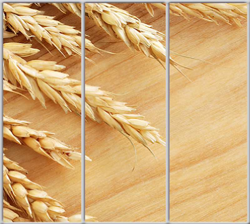 

Шкаф купе Luxe Studio Стандарт-1 Фотопечать Еда и напитки-24 2100x2400x450 трехдверный