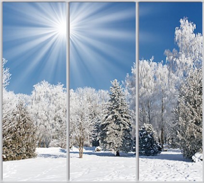 

Шкаф купе Luxe Studio Стандарт-1 Фотопечать Природа-174 2300x2000x450 трехдверный