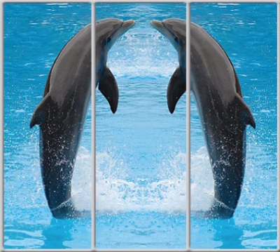 

Шкаф купе Luxe Studio Стандарт-1 Фотопечать Животные-15 2300x2100x450 трехдверный