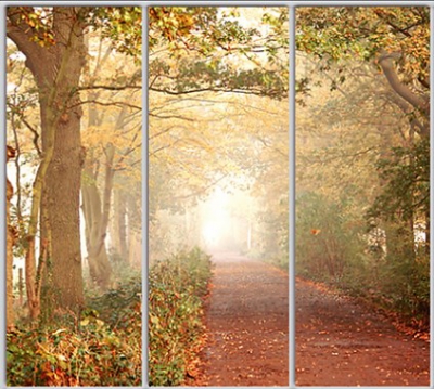 

Шкаф купе Luxe Studio Стандарт-1 Фотопечать Природа-70 2300x2100x450 трехдверный