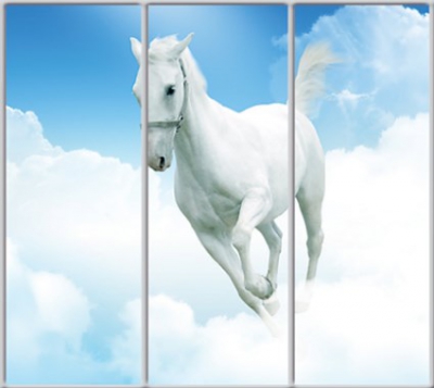 

Шкаф купе Luxe Studio Стандарт-1 Фотопечать Животные-22 2200x2400x450 трехдверный