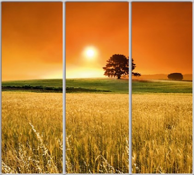 

Шкаф купе Luxe Studio Стандарт-1 Фотопечать Природа-199 2200x2400x450 трехдверный