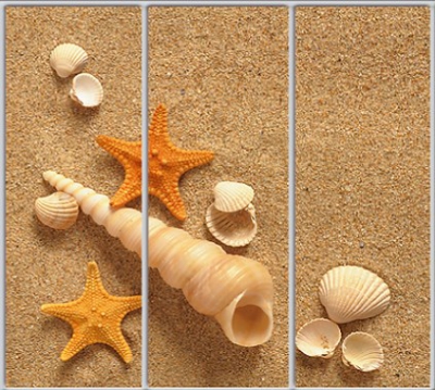 

Шкаф купе Luxe Studio Стандарт-1 Фотопечать Море-46 2300x2200x450 трехдверный