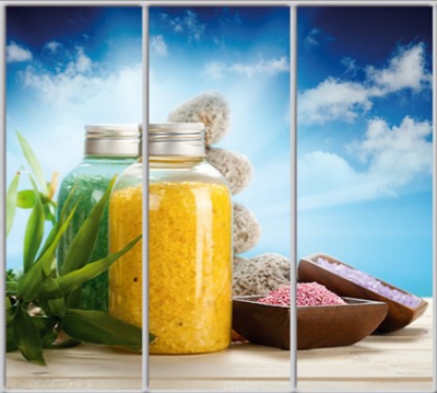 

Шкаф купе Luxe Studio Стандарт-1 Фотопечать Салон красоты-19 2300x2400x450 трехдверный