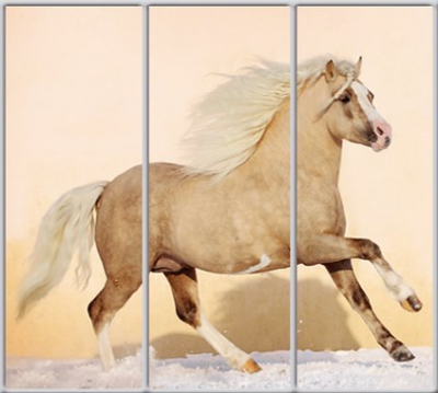 

Шкаф купе Luxe Studio Стандарт-1 Фотопечать Животные-31 2200x2400x450 трехдверный