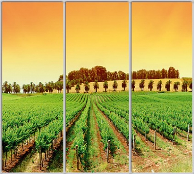 

Шкаф купе Luxe Studio Стандарт-1 Фотопечать Природа-185 2300x2300x450 трехдверный