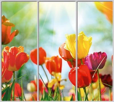 

Шкаф купе Luxe Studio Стандарт-1 Фотопечать Природа-86 2300x2400x450 трехдверный