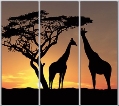 

Шкаф купе Luxe Studio Стандарт-1 Фотопечать Животные-13 2300x2400x450 трехдверный