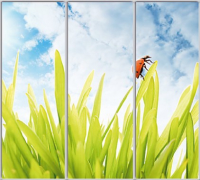 

Шкаф купе Luxe Studio Стандарт-1 Фотопечать Природа-9 2300x2400x450 трехдверный