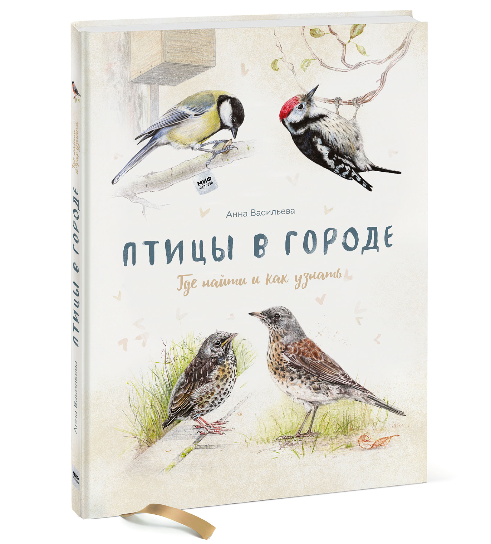 

Птицы в городе. Где найти и как узнать (4079256)