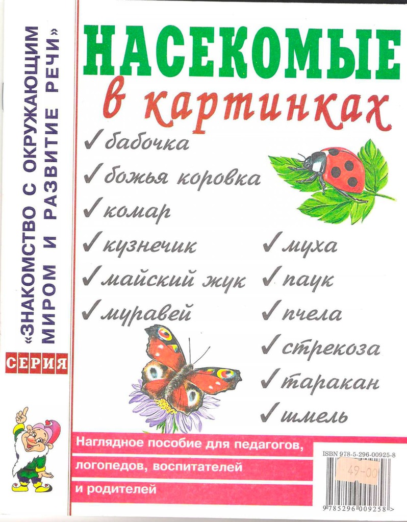 

Насекомые в картинках