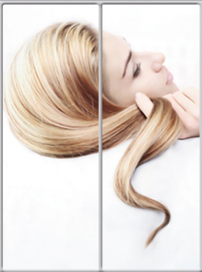 

Шкаф купе Luxe Studio Стандарт-1 Фотопечать Салон красоты 1100x2200x600 двухдверный