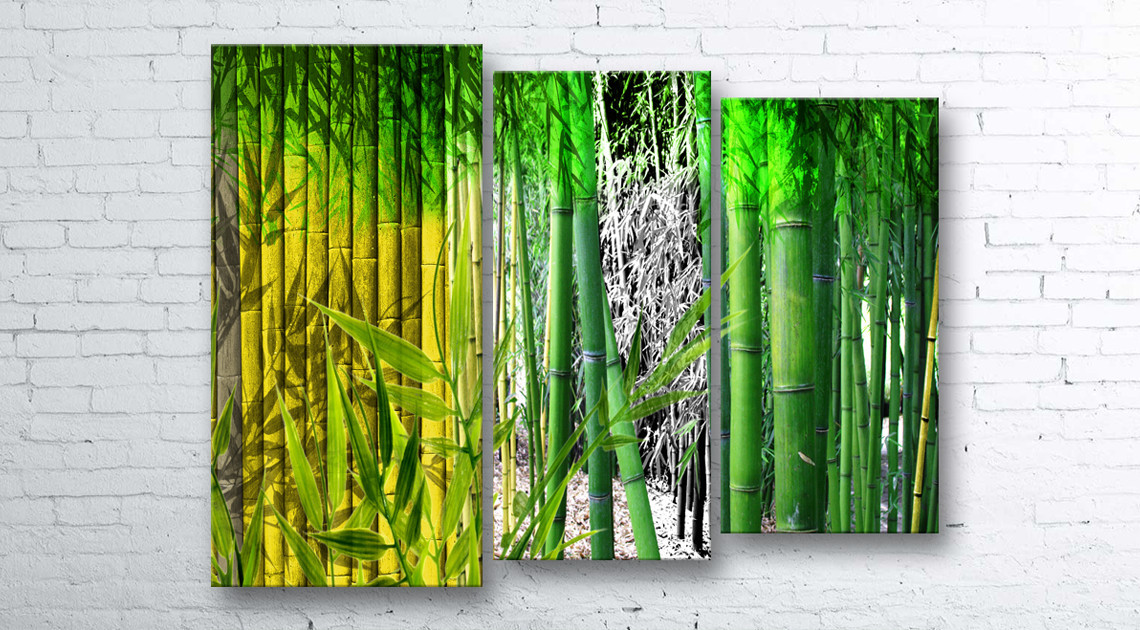 

Модульная картина на холсте 3 в 1 Бамбук 100х130 см (секции разного размера)