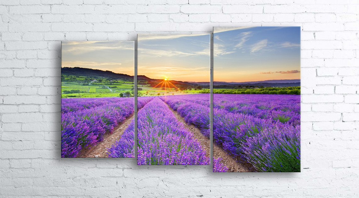 

Модульная картина на холсте 3 в 1 Лавандовое поле 100х160 см (секции разного размера)