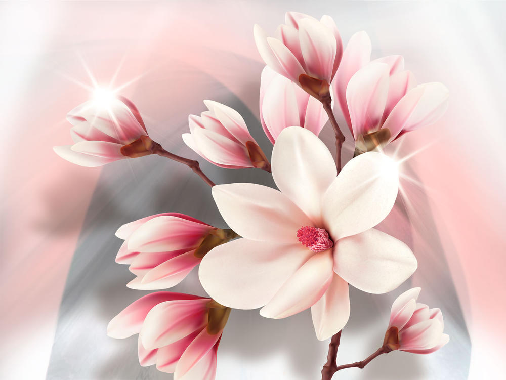 

Фотообои Walldeco Ветка магнолии №30991 Гладь