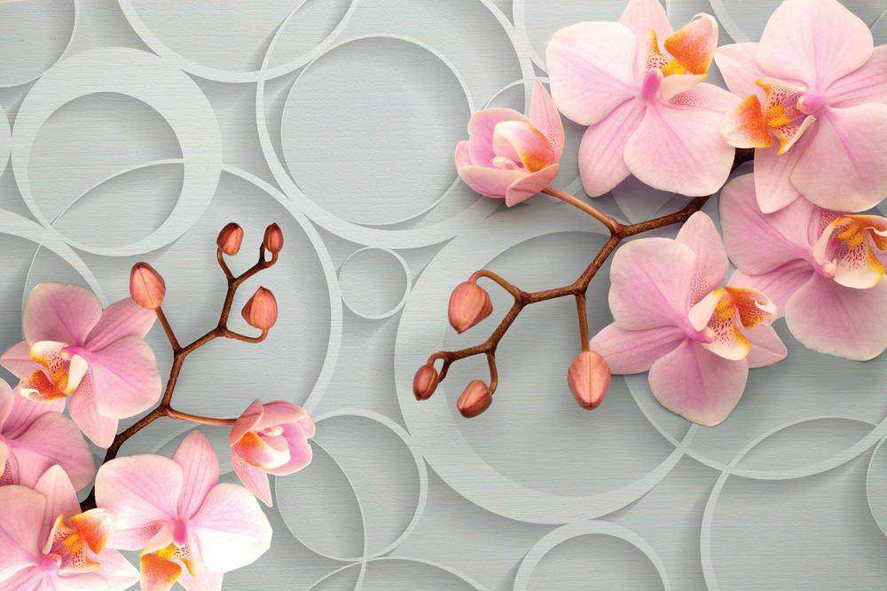 

Фотообои Walldeco Розовые орхидеи №25887 Гладь