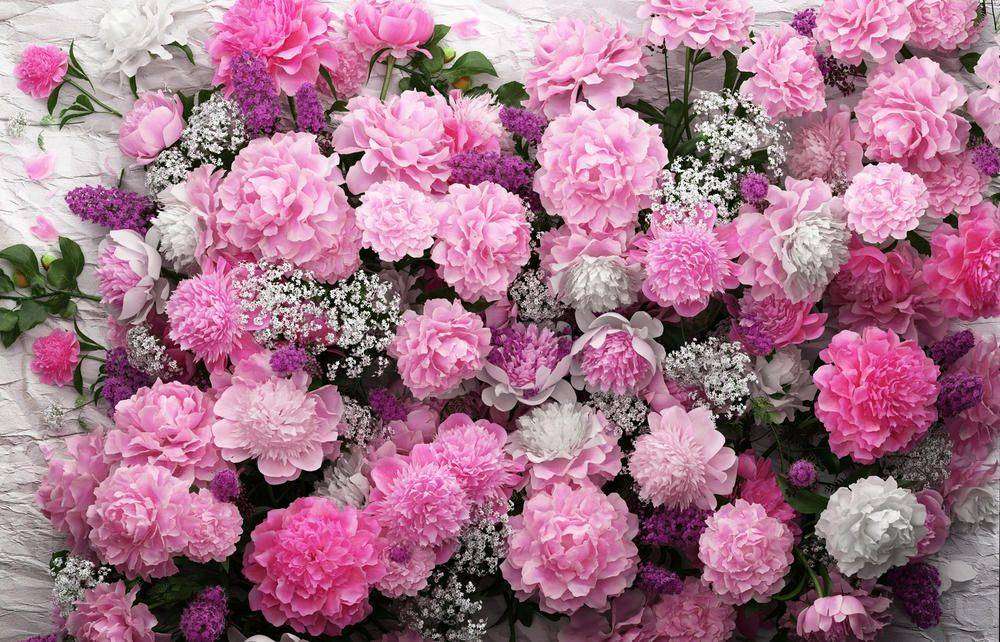 

Фотообои Walldeco Розовые пионы №29418 Гладь