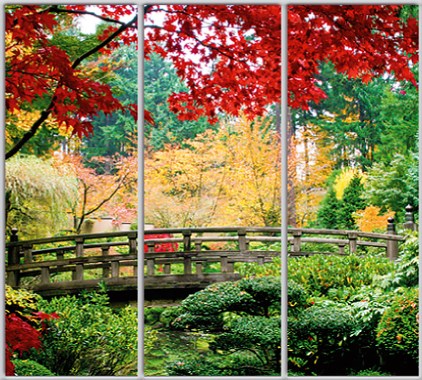 

Шкаф купе Luxe Studio Стандарт-1 Фотопечать Природа-184 2400x2300x450 трехдверный