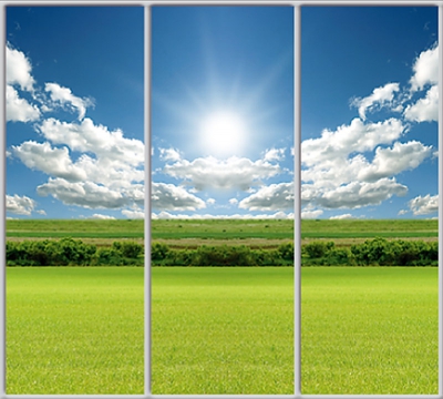 

Шкаф купе Luxe Studio Стандарт-1 Фотопечать Природа-21 2400x2400x450 трехдверный