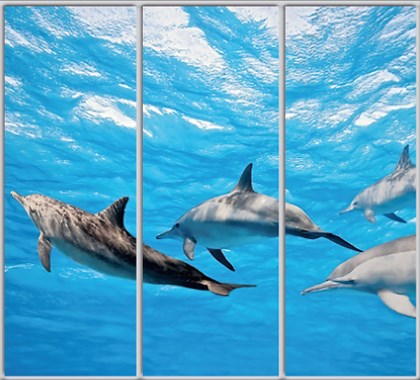 

Шкаф купе Luxe Studio Стандарт-1 Фотопечать Животные-38 2400x2100x450 трехдверный