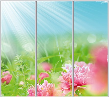 

Шкаф купе Luxe Studio Стандарт-1 Фотопечать Природа-143 2400x2100x450 трехдверный