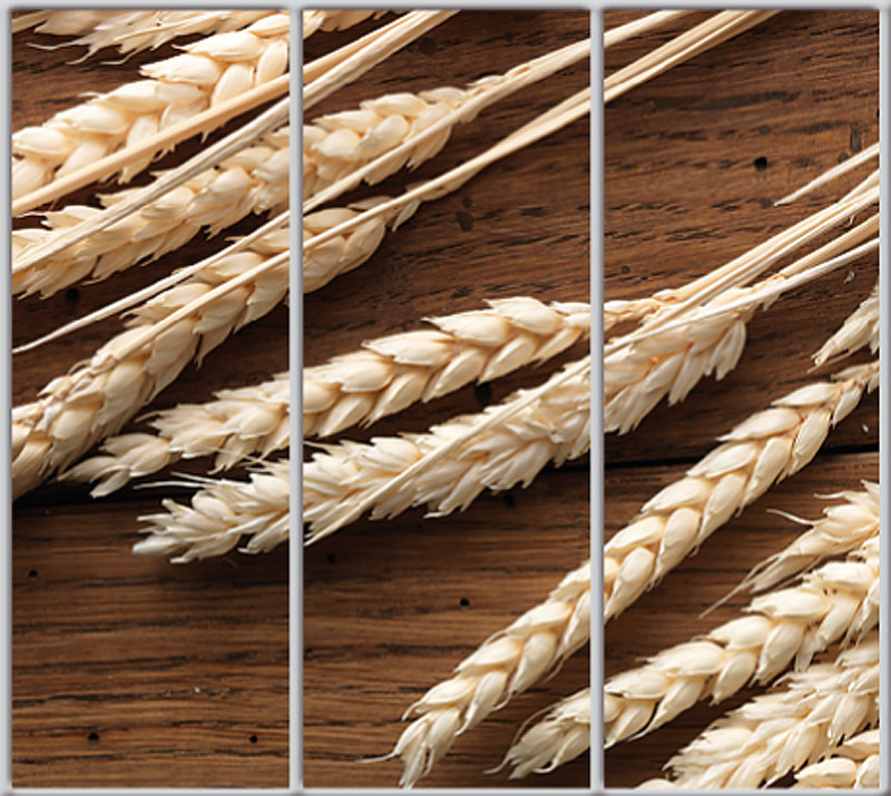 

Шкаф купе Luxe Studio Стандарт-1 Фотопечать Еда и напитки-36 2400x2000x450 трехдверный