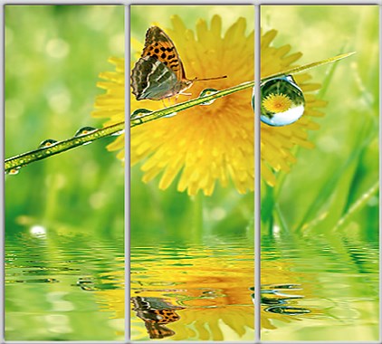 

Шкаф купе Luxe Studio Стандарт-1 Фотопечать Природа-214 2400x2000x450 трехдверный