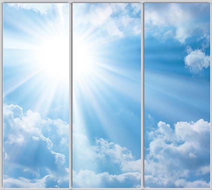 

Шкаф купе Luxe Studio Стандарт-1 Фотопечать Природа-162 2400x2400x450 трехдверный