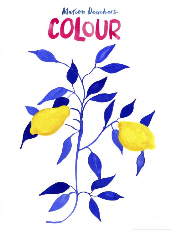 

Colour (934354)