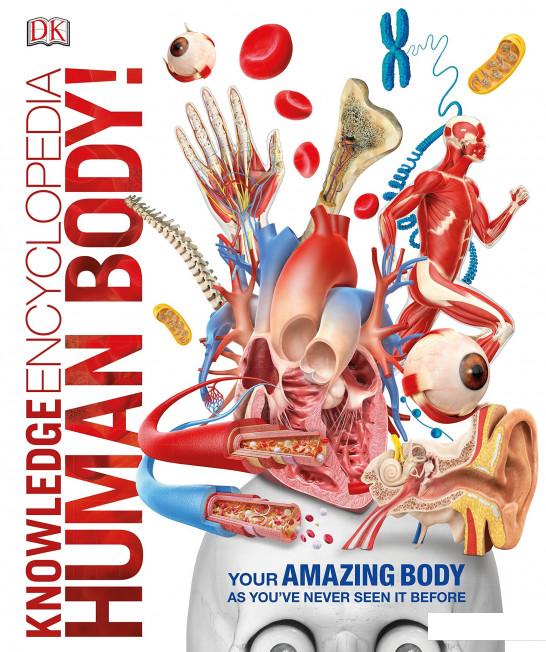 

Knowledge Encyclopedia Human Body! (1119916)