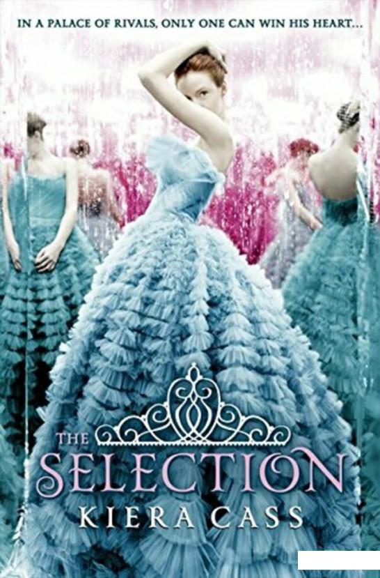 

The Selection (982493)