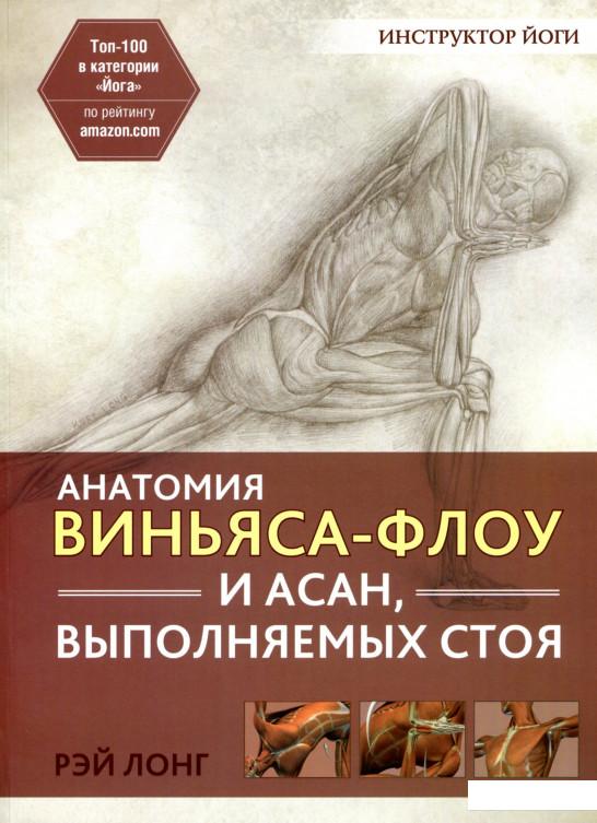 

Анатомия виньяса-флоу и асан, выполняемых стоя (892600)